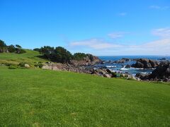 夏で青々した芝と青い海の景色が綺麗