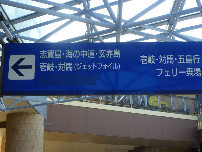 定番 コスモスを見に「海の中道海浜公園」再訪【博多ふ頭～西戸崎 コレクション