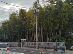 ●八幡の藪知らず＠京成/京成八幡駅界隈

市川で、おさえておきたいスポットがあります。
それは、この竹藪。
国道14号線に面した、狭い一画です。
ん？別に竹藪なんて、どこにでもあるやん？って思われがちですが…。
実は、この竹藪「八幡の藪知らず」と言われるスポットです。
