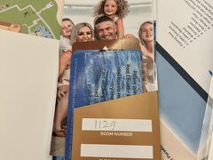 なんとか予定の国内線に乗れてよかった。ほっ。
バリ島では、たくさんはなかったオールインクルーシブプランのあるホテル。3泊以上で空港送迎あり。22時前にやっと到着した。明日ホテルからのながめ、どうなっているのか楽しみだな～ （オールインクルーシブのホテルに夜着はもったいなかったな