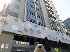 今回のメルボルンのお宿はBrady Hotel Central Melbourne。ちょっと地味な外観ですが、市の中心部に位置し観光には便利。値段も比較的リーズナブル。裏通りにあるため夜は薄暗く、ちょっと女性の一人歩きは心配な感じですが、現在ホテルの前に地下鉄の駅を造るための工事が行われており、駅ができたら周辺ももっとにぎやかになり、より便利なホテルになりそうです。

ゴエモン「値段も上がっちゃうかもしれないけどね。」