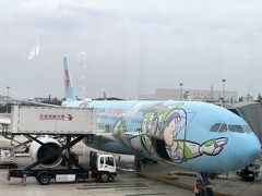 上海虹橋国際空港に17:10着予定を38分早く到着

中国東方航空はサービスが悪いとかなんとか言われてるけど、確かに上海便（帰りも）のCAはなんだか愛想が悪いのだが、スリランカ便はかなり良かったし、全体を通して見ると普通にいい方だと思う