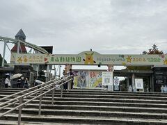 名古屋市営地下鉄、東山公園駅で下車、
徒歩3分ほどで東山動植物園へ。

miroさんのシドニー旅行記のコアラが
かわいくて、見たくなりました。

https://4travel.jp/travelogue/11934716

確か東山動植物園にいたはず。
調べると、東京多摩動物公園や
埼玉こども動物自然公園にもいるんですね。
いずれも近くないから、きっと行かないなあ。
ということで、東山動植物園にやってきました。