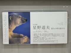 ＜9月某日＞
得意の大丸ミュージアム、この日は星野道夫さんの写真展。（撮影不可）