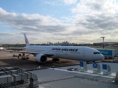 行きと同じく、帰りもJALの777-300ER。
JALの777もこの先、乗る機会がどんどん少なくなってきそうだから、貴重な体験。

帰りの機内では、通路を挟んだ反対側にひとりで座ってるオーストラリア人の姉さんが、ものすごい貧乏ゆすりをしてた。
動きも大きく、最初は鬱陶しいなぁ、なんて思ってたんだけど、オレなら1分も続けられなさそうな強烈な貧乏ゆすりをフライト中、片時も休まずに続けてる。
何かのトレーニング？　羽田に着く頃には尊敬しそうになってた（笑）