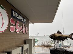 朝市の向かいに、稲取漁港直営こらっしぇがあります。金目鯛の像があります。