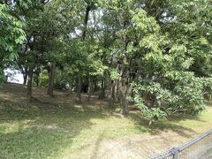 拝所と道を挟んだ向かい側もこんもりしている。さてはお前も古墳だな？
大鳥塚（おとりづか）古墳だそうです