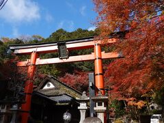 先程駐車場を出て見たのはこの常夜灯を見下ろした形