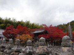 続いて化野念仏寺。