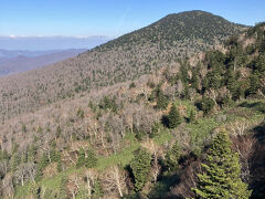 八甲田山ロープウェイに乗車中からの窓から、　既に紅葉は終わり落葉になっていました。　その分、アオモリトドマツの青さが目立っていました。
