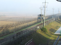 ２日目【DMZ南北境界線見学ツアー】
ベルトラで予約して参加しました。

　6:40　ホテル前出発
　　　　・臨津閣（イムジンガク）公園
　　　　・自由の橋
　　　　・平和ゴンドラ乗車（時間があったのでのることができた。）
　　　　・第3トンネル見学
　　　　・都羅（トラ）展望台
　　　　・統一村売店
　14:30　明洞駅到着