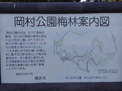 4番目のポイント　岡村公園。