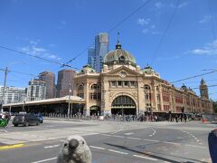 こちらは教会の近くにある、先ほどのフリンダース船長の名を冠したフリンダースストリート駅。1854年に建設されたオーストラリアで最も古い駅なのだそうです。

ゴエモン「もっとも当時は小さな木造の駅で名前も『メルボルン駅』だったらしいよ。現在の立派な駅舎は1902年に造られたんだって。」

ということでメルボルン市内観光は一旦終了。