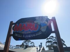 午後はペンギンパレードで有名な、フィリップ島ツアーに参加します。

集合場所のホテル前で他の参加メンバーと合流した後、バスに乗ってまずは「マルー　コアラ＆アニマルパーク」へ。