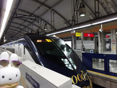 ということでスカイライナーに乗ります。
このスカイライナーもお祝いモードカラー。