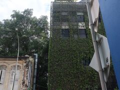 旧市街の繁華街に帰って来た