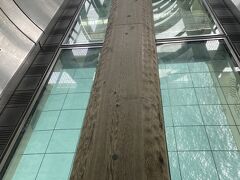 この後、帰り道
先頭の案内人さんのイヤホンガイドをほとんど聞かず
追い越した
トイレ！トイレ！
各組1人の案内人さんがいて
黄色組さんの案内人さんがついてくれ、とっとこ走る（小走りですよ）

ここは300円で予約なしで入れます