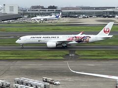 羽田空港国内線第1ターミナル展望デッキ (ガリバーズデッキ)
