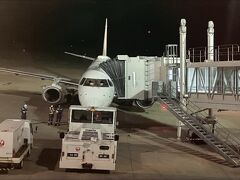 飛行機での移動