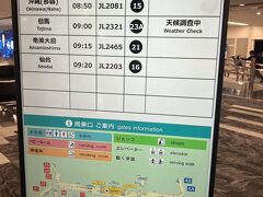 大阪国際空港 (伊丹空港)