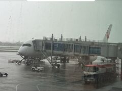 飛行機での移動