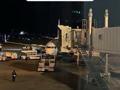 飛行機での移動