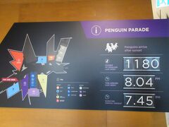 というわけでペンギンパレード鑑賞センターに到着。

なかなか立派な施設で、土産物屋なども完備しています。昨日は午後8時頃、
約1,200羽のペンギンが出没し、本日の予想出現時間は7:45とされています。

ゴエモン「どうやってペンギンの数を数えているんだろうね。」