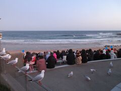 観覧席は一般席とプラス席に分かれています。

我々は残念ながらプラス席の空きがなく、一般席からの観覧だったのですが、ご覧のとおり海岸からは結構距離があります。ペンギン達が海から帰ってくるのは大分暗くなってからなので、よほど目のいい人か、双眼鏡等を持っていないと、一般席からペンギンが上陸する様子を見るのは難しいと思います。

なのでペンギンが海から上陸する様を是非見たい人は、多少高くなりますがプラス席を選びましょう。一般席しか買えなかった人はペンギンが上陸したら、すぐにペンギン達が歩いてくるトレイル沿いにある、ボードウォークに移動しましょう。トレイルをよちよち歩いてくる愛らしいペンギンの姿を心行くまで鑑賞することができます。なおペンギン保護のため写真撮影は禁止されているので、写真等はありません。

ゴエモン「くそう、なぜペンギンばかりこんなに人気があるんだ。」