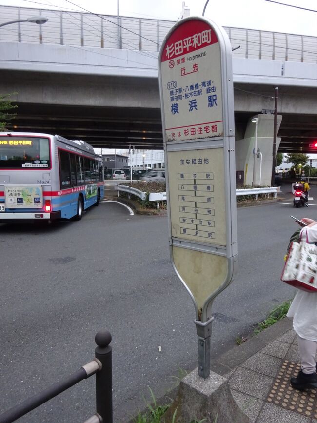 向こうに見えているのが、高速湾岸線とシーサイドライン。<br />その向こう側に京急バスの杉田営業所がある。<br /><br />京急の一般路線バスで唯一、横浜駅に乗り入れている路線の起点がこのバス停。この路線は磯子駅前も通るので、ここまで来る必要はないんだけど、乗るなら起点から乗りたい（笑）