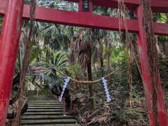 佐多岬展望台