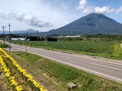 フラワーパーキング。留寿都から真狩へ行くフラワーロードにあります。羊蹄山が、まるっと見えます