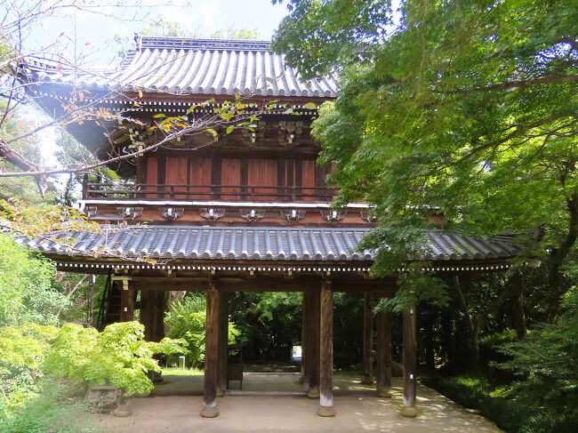 下関14 金山‐功山寺 仏殿（鎌倉時代）は国宝 高杉晋作挙兵の地 ☆長府毛利家の菩提寺』下関(山口県)の旅行記・ブログ by  マキタン２さん【フォートラベル】