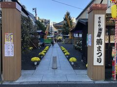 商店街の巣鴨駅寄りの出口に建つ真性寺に行きました。参拝者が次々と来ていました。黄色い菊が多く、境内が明るかったです。