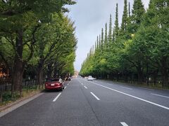 自由が丘のあとに車で青山外苑前へ移動。
｢明治神宮外苑｣の銀杏並木の通りは、約300mの真っ直ぐに伸びて、
銀杏が9m感覚で植えられていて本当に絵になる景色。
世界的にも評価されているみたいですよね。
1ヶ月後には黄金色の絨毯だろうな～
