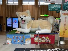 ランチの後、【秋田駅】へ
駅構内に居た大～きな秋田犬(^^)