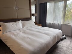 一夜明けて今日はネス湖に行きます。
初めての場所でレンタカーで行くので時間が読めないので
観光地のチケットは、どこも予約はしていません。