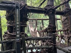 木のつたでかけられた橋。伝説では平家の落ち武者がつくったそう。橋を渡るのに550円がかかるが、現金かpaypayでしか払えないので注意。
