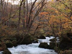 食後は奥入瀬へ
夕方で日が落ちるのは早いけど、まぁまぁ良い景色