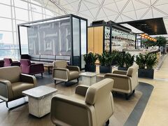 おぉ～。広い！

しかしoneworldのハブ空港とはいえ、オーストラリア国外にこんなに立派なラウンジ設置するなんてすごいよね。