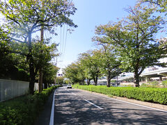 北九州13　小倉-2　小倉城庭園　　　47/　　　47