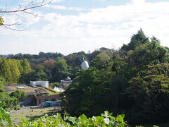 専修大学の間を上がりました　生田緑地の「母の塔」の後ろが見えました