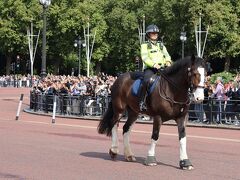 ヴィクトリア駅から駆け足でバッキンガム宮殿へ
交代後の衛兵さん達が戻っていくシーンにぎりぎり間に合いました

最初は馬一頭