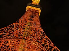 東京タワーの展望台からの夜景が楽しめる入場料込み。

＊東京タワー・メインデッキ(地上150mから東京の夜景を一望／50分)

