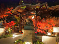 行田花手水week【行田八幡神社】