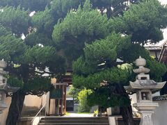 尾道にはお寺が沢山あります。
こちらは天寧寺さん
