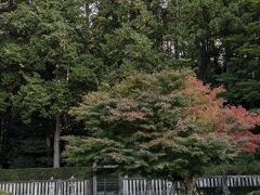 三千院の後はどうしようか悩みながら歩いていると後鳥羽天皇大原陵があったので参拝。
いままでは緑で覆われた御陵ばかり参拝してきたから、ちょっと紅色がかっただけでも印象がだいぶ変わります。