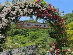 今年も来たよ～(^_^)/

エントランスの大きなガーデンアーチ、淡い新緑とのコラボがとても素敵です。