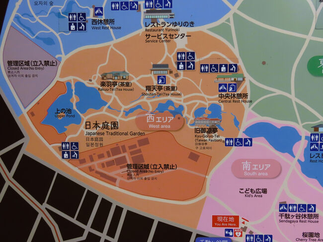 ★「新宿御苑に於ける和菊の伝統的栽培法写真図説」　東京農業大学図書館　（二冊） 新宿御苑に於ける和菊の伝統的栽培法写真図説」 東京農業