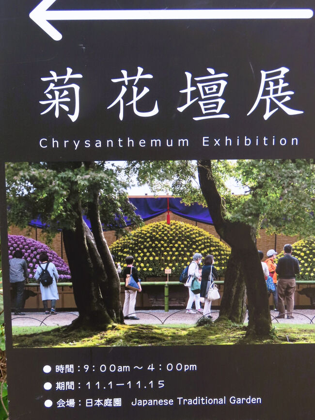 新宿御苑-1 菊花壇展 伝統の技に魅かれて/15日閉幕 ☆台湾閣