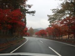 １５３号線の治部坂峠を越えた当りからは、標高も高いため沿道に沿って植えられているモミジも綺麗に色付いて見ごろを迎えていました。